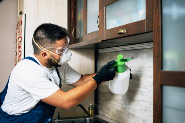 Best Pest Control for Homes  in Robertsville, NJ